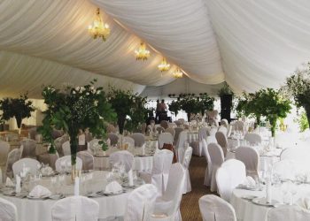 11215836_897317303671148_7830159598999036950_n