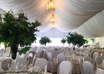 11335_1001502133252664_195696121861521456_n