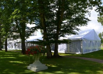 999087_535297359873146_1523428796_n